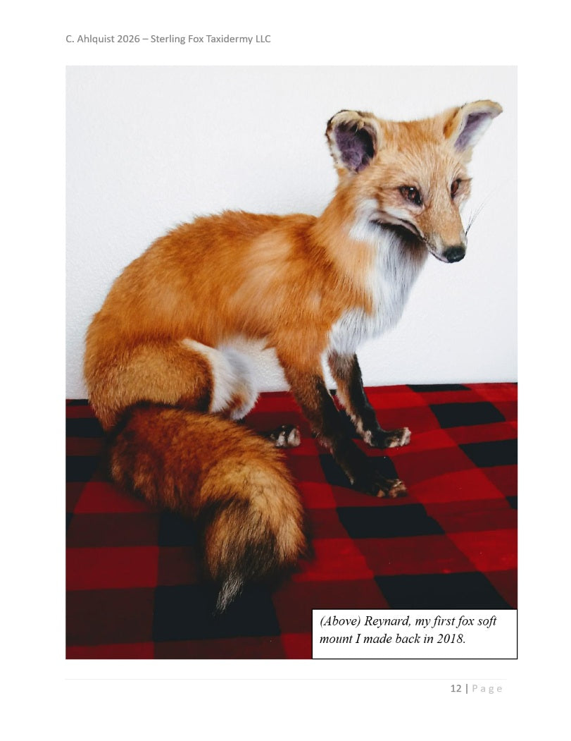 Soft Mount Taxidermy DIY Beginners Guide - Digital 270+ page PDF Soft Mount Taxidermy Book by Chandra Ahlquist - Downloadable E-BOOK