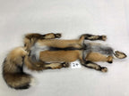 MADE TO ORDER DIY Gold Fox Soft Mount Taxidermy Kit | Ready-to-Mount | Beginner Starter Kit for Soft or Traditional Taxidermy Kit ID #24