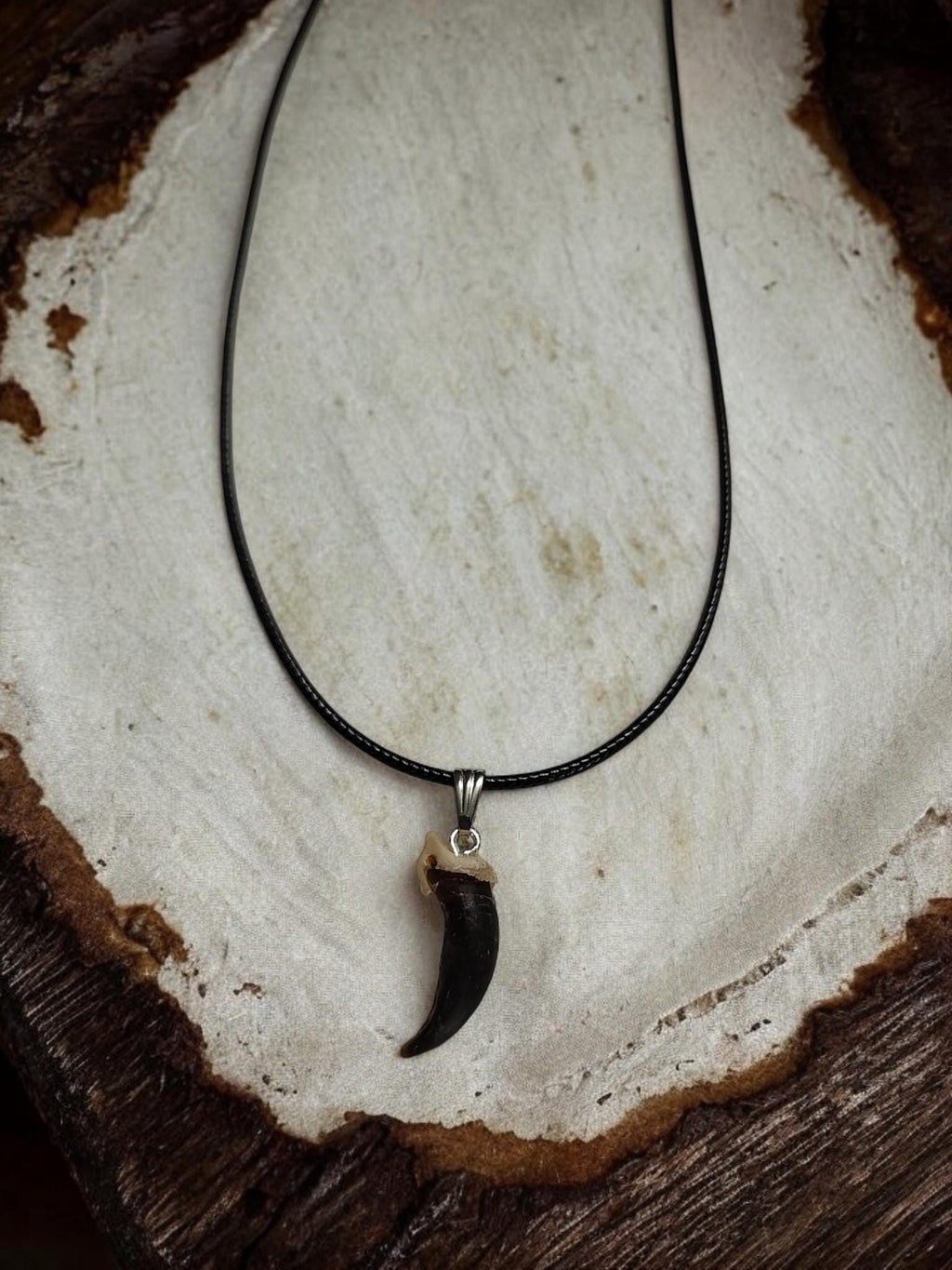 Black Coyote Claw Necklace