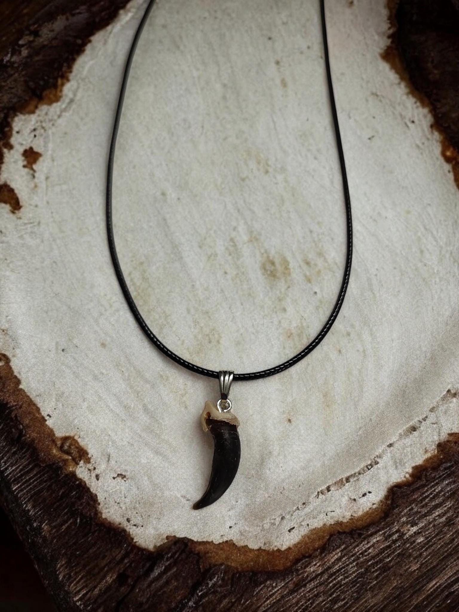 Black Coyote Claw Necklace