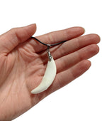 Coyote Tooth Charm Necklace