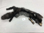 MADE TO ORDER DIY Silver Fox Soft Mount Taxidermy Kit | Ready-to-Mount | Beginner Starter Kit for Soft or Traditional Taxidermy Kit ID #1