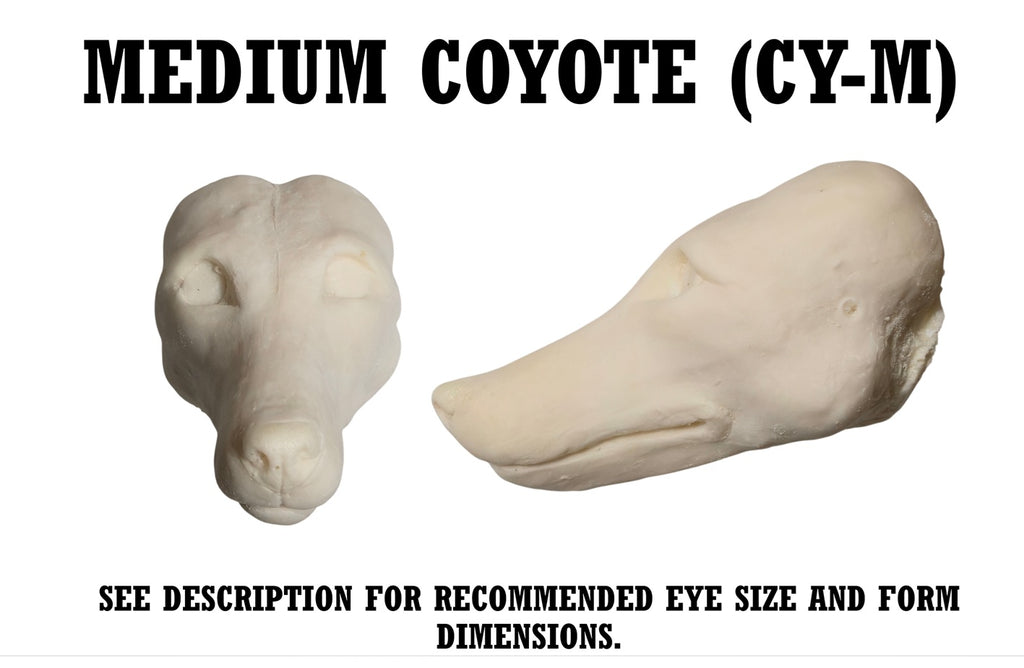 Coyote Taxidermy Head Form – Multiple Sizes