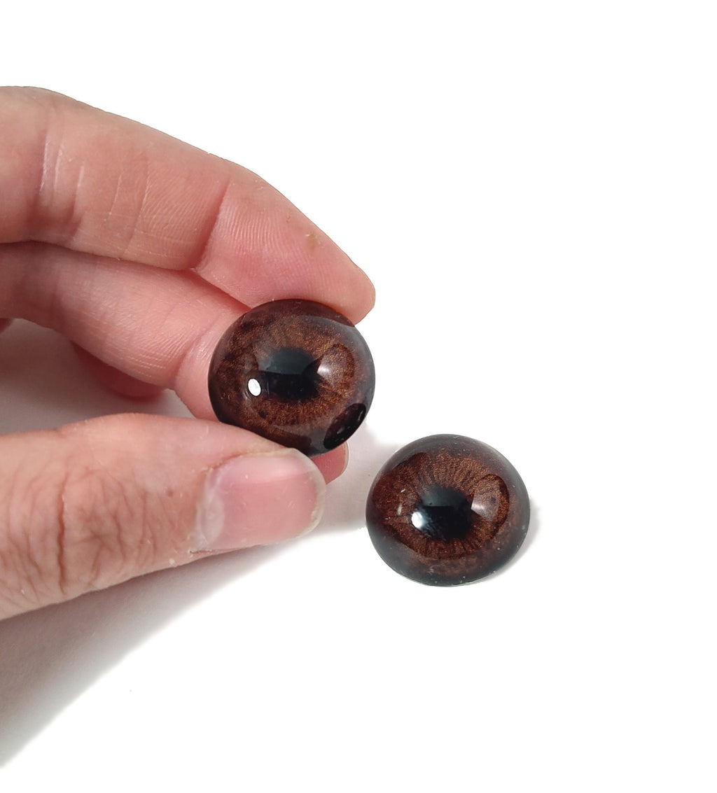 Briar Brown Bear CW9- Handmade Glass Taxidermy Eyes