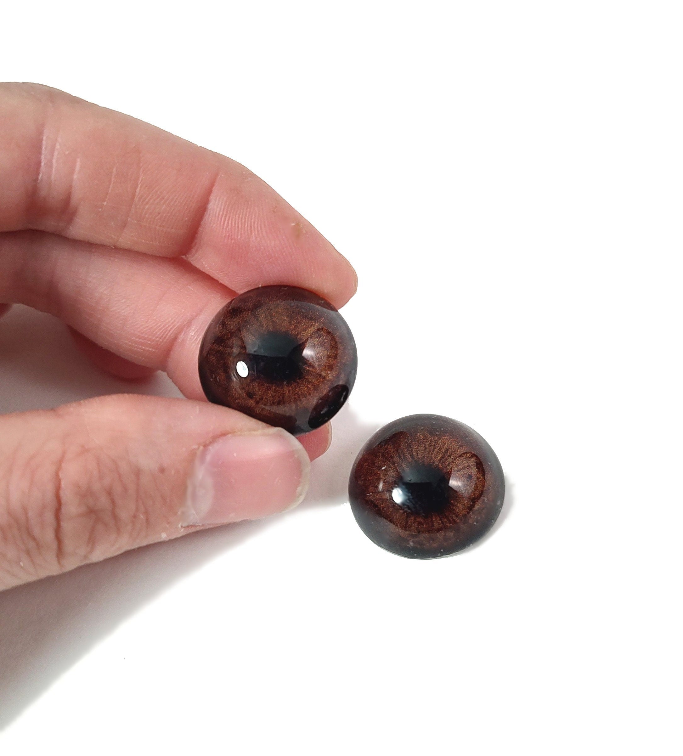 Briar Brown Bear CW9- Handmade Glass Taxidermy Eyes