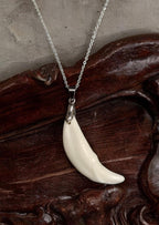 Coyote Tooth Charm Necklace