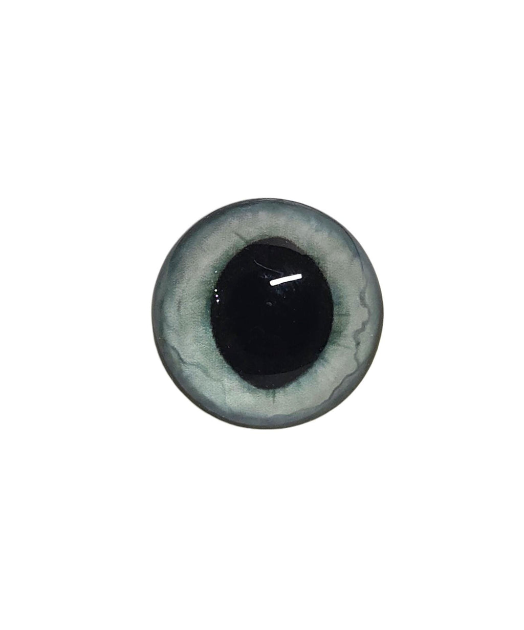 Snow Glow Wide Pupil Fox Eyes WRF23 - Handmade Glass Taxidermy Eyes