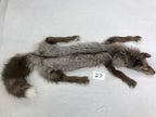 MADE TO ORDER DIY Dark Amber Fox Soft Mount Taxidermy Kit | Ready-to-Mount | Beginner Starter Kit for Soft or Traditional Taxidermy Kit ID #27