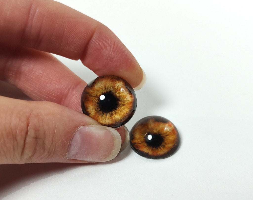 Orange Brown Wolf CW13- Handmade Glass Taxidermy Eyes
