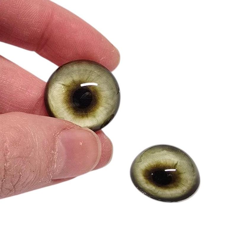 Moss Green Coyote CW27- Handmade Glass Taxidermy Eyes