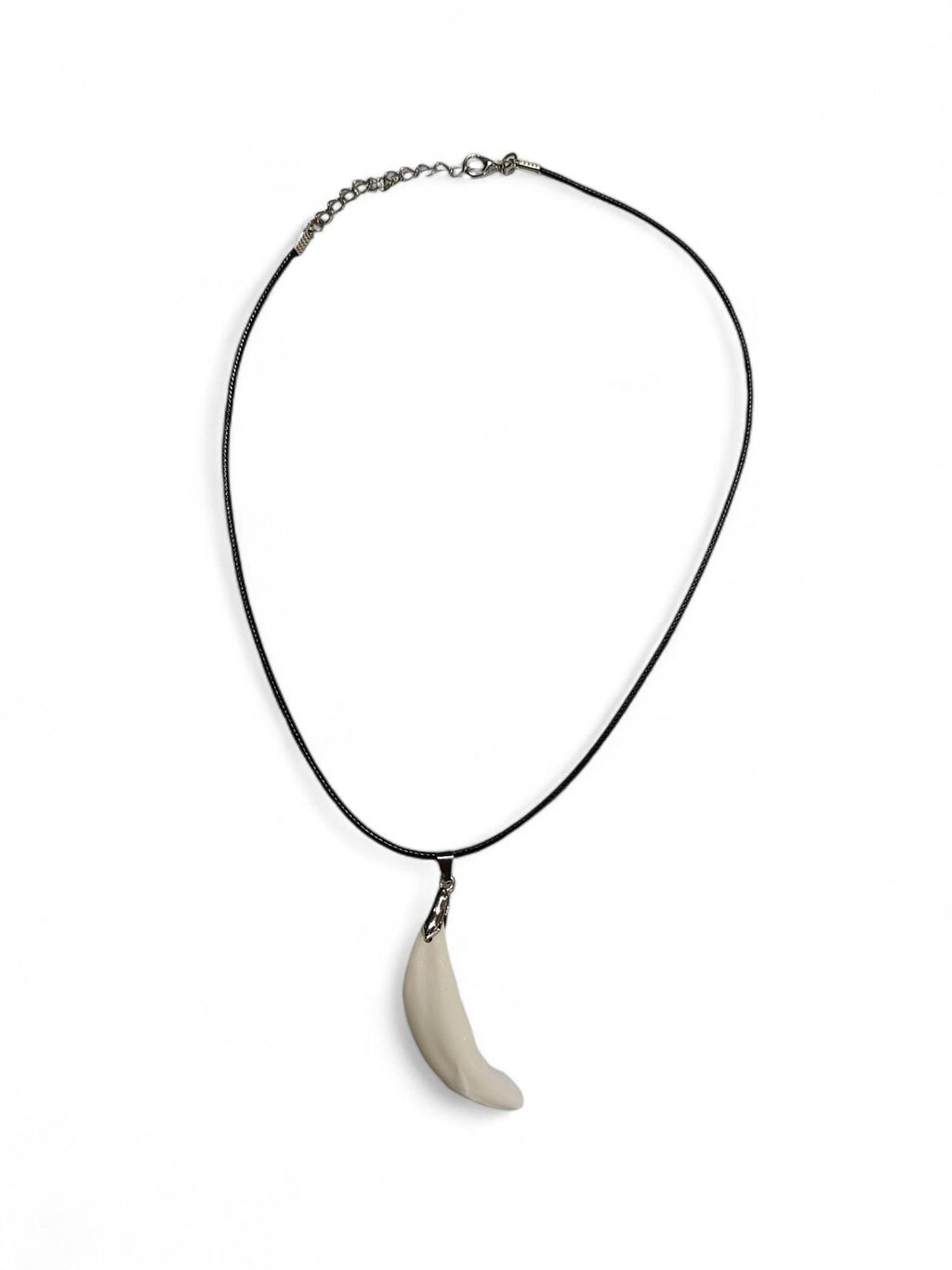 Coyote Tooth Charm Necklace