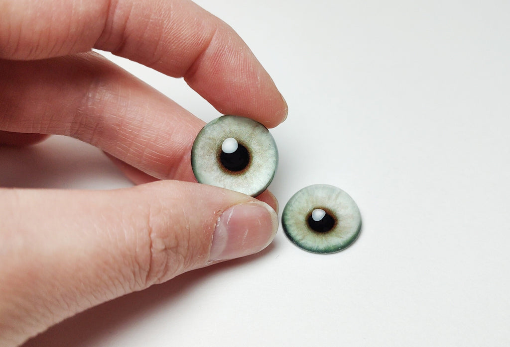 Green Grey Coyote CW5 - Handmade Glass Taxidermy Eyes