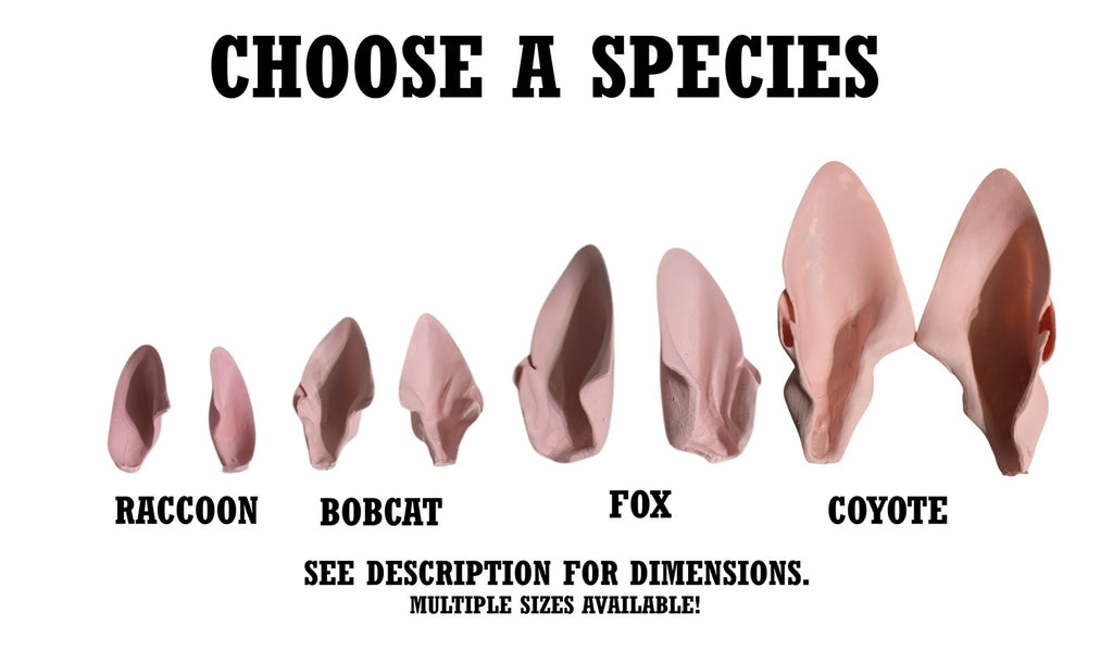 Bobcat Ears - Taxidermy Ear Liners
