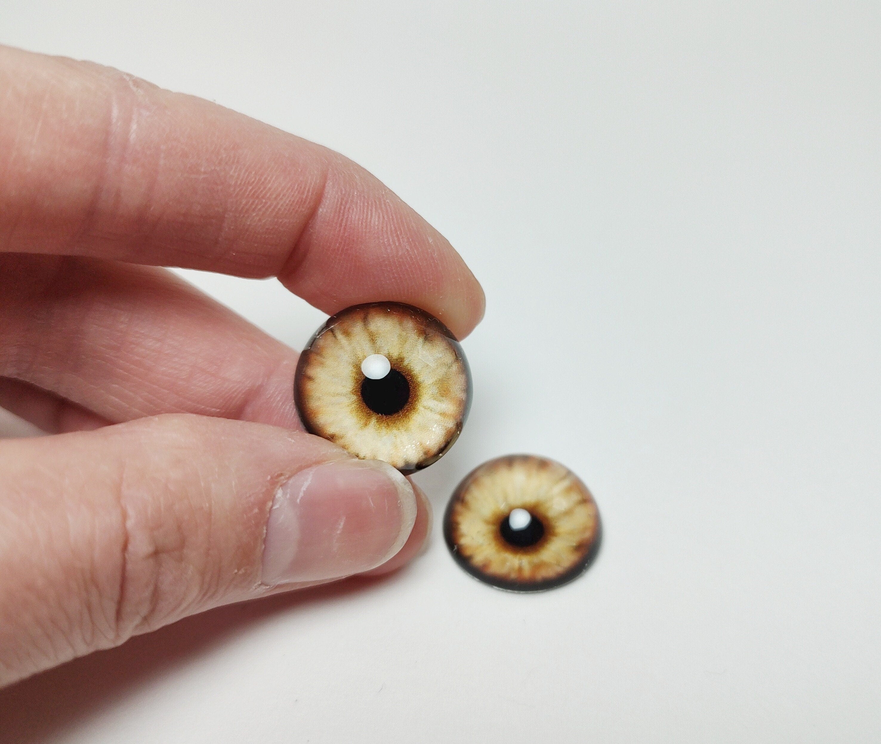 Gold Lion CW19- Handmade Glass Taxidermy Eyes