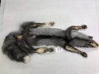 MADE TO ORDER DIY Pearl Fox Soft Mount Taxidermy Kit | Ready-to-Mount | Beginner Starter Kit for Soft or Traditional Taxidermy Kit ID #23