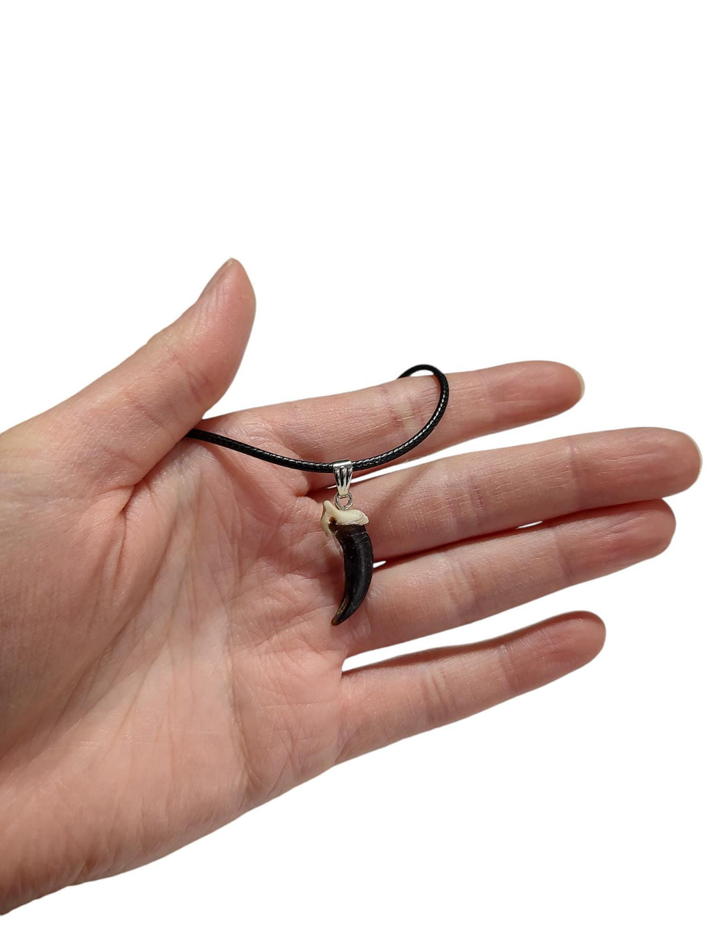Black Coyote Claw Necklace
