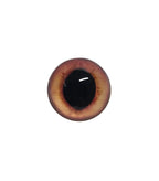 Gold Orange Wide Pupil Fox Eyes WRF7 - Handmade Glass Taxidermy Eyes