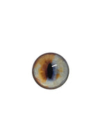 Gold and Blue fox Heterochromia Eyes HC4 - Handmade Glass Taxidermy Eyes
