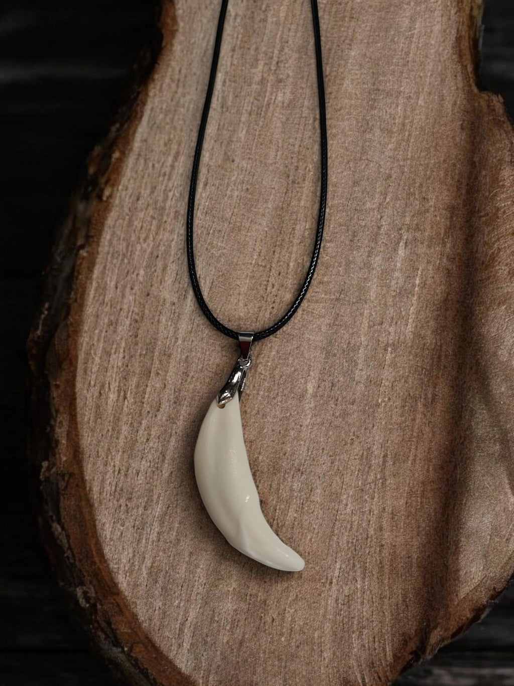 Coyote Tooth Charm Necklace