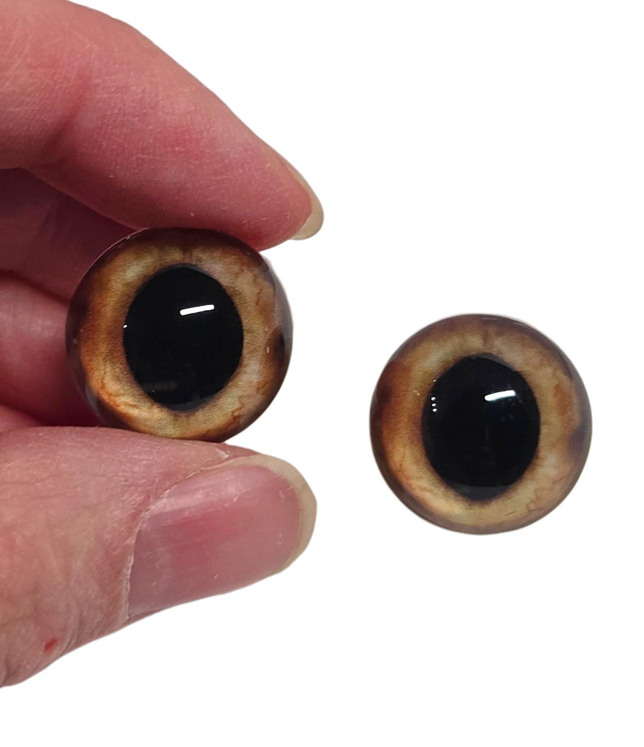 Hazel Brown Wide Pupil Fox Eyes WRF10 - Handmade Glass Taxidermy Eyes
