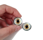 Sage Orange Coyote CW6 - Handmade Glass Taxidermy Eyes