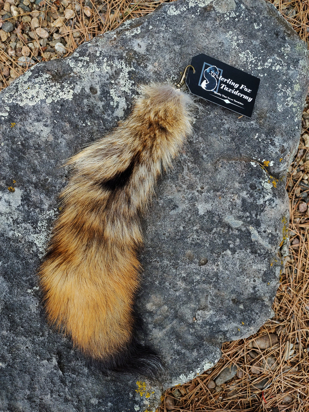 Real Fur Wild Coyote Tail Keychain - Ethically Sourced