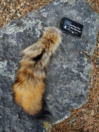 Real Fur Wild Coyote Tail Keychain - Ethically Sourced
