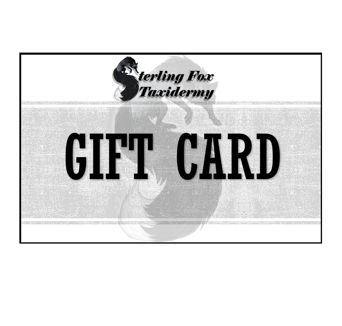 Sterling Fox Taxidermy Gift Card