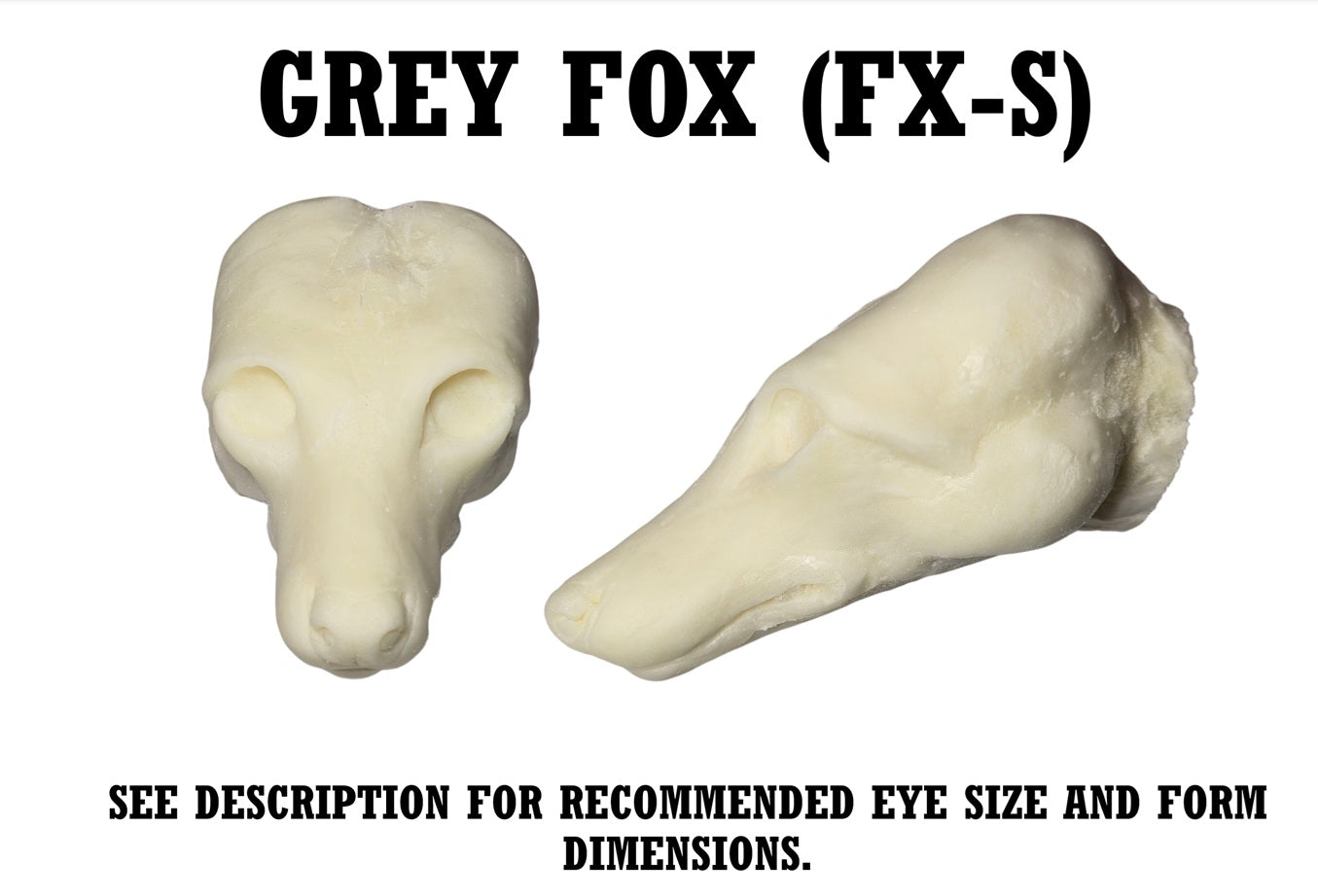 Grey Fox Taxidermy Head Form – FX-S