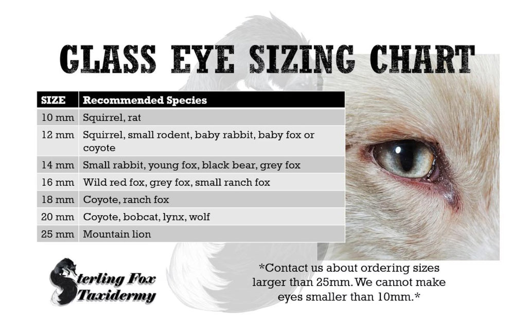 Yellow Green Cat Eyes BC43 - Handmade Glass Taxidermy Eyes