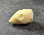 Squirrel Taxidermy Head Form – SQ-M