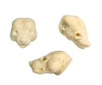 Mink Taxidermy Head Form – MK-M