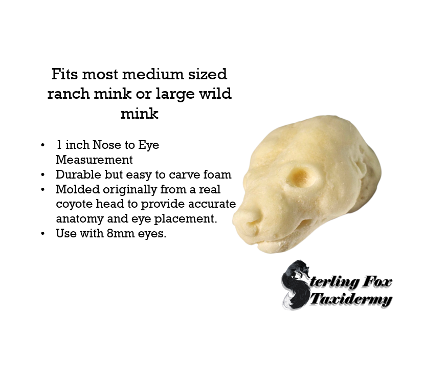Mink Taxidermy Head Form – MK-M
