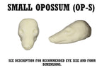 Opossum Taxidermy Head Forms – Multiple Sizes