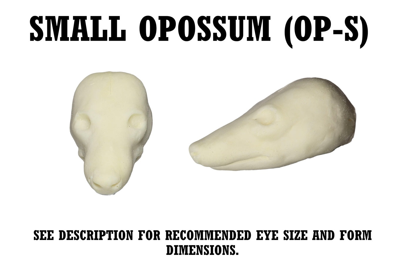 Opossum Taxidermy Head Forms – Multiple Sizes