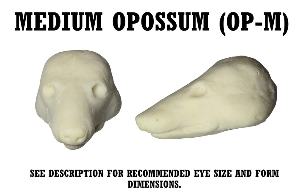 Opossum Taxidermy Head Forms – Multiple Sizes
