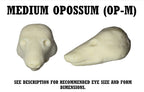 Opossum Taxidermy Head Forms – Multiple Sizes