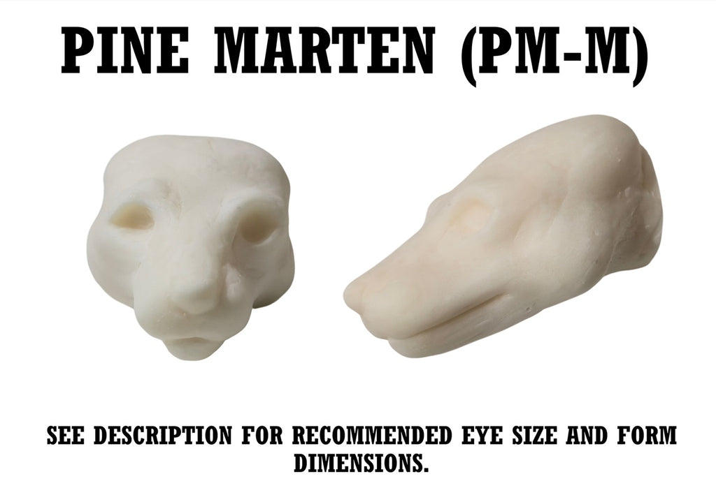 Pine Marten Taxidermy Head Form – PM-M
