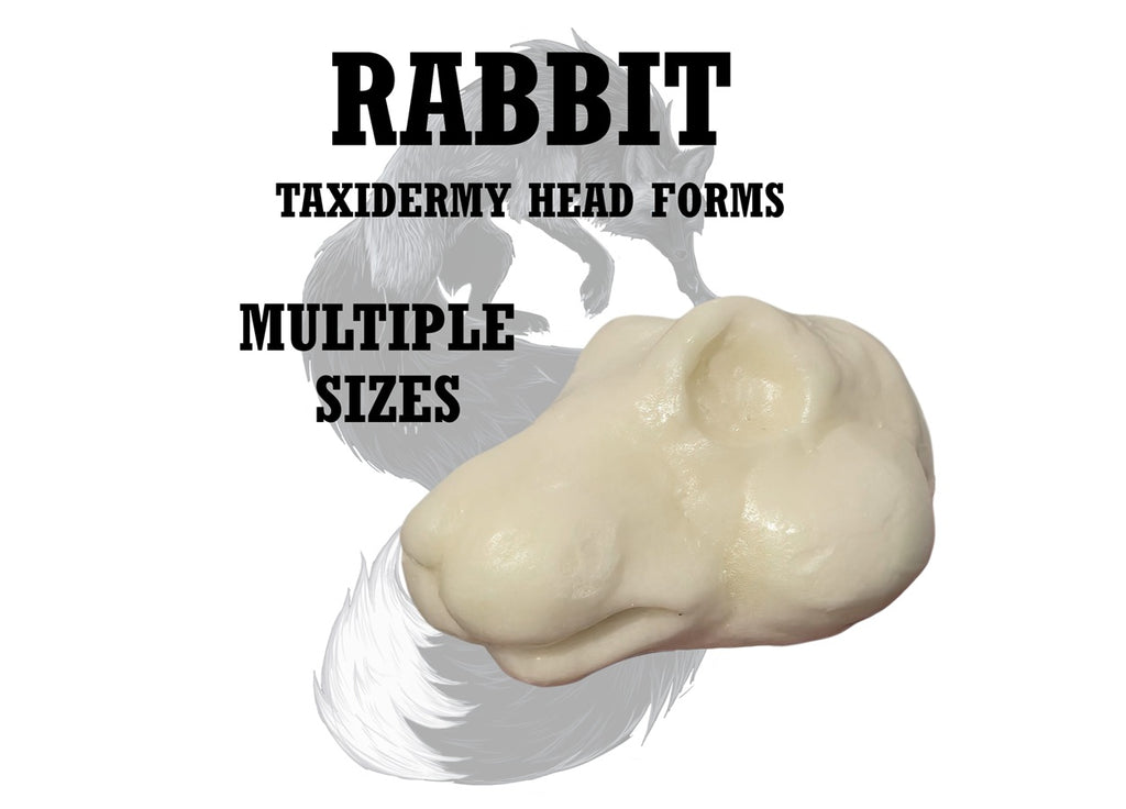 Rabbit Taxidermy Head Forms – Multiple Sizes