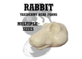 Rabbit Taxidermy Head Forms – Multiple Sizes