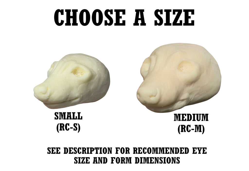 Raccoon Taxidermy Head Forms – Multiple Sizes