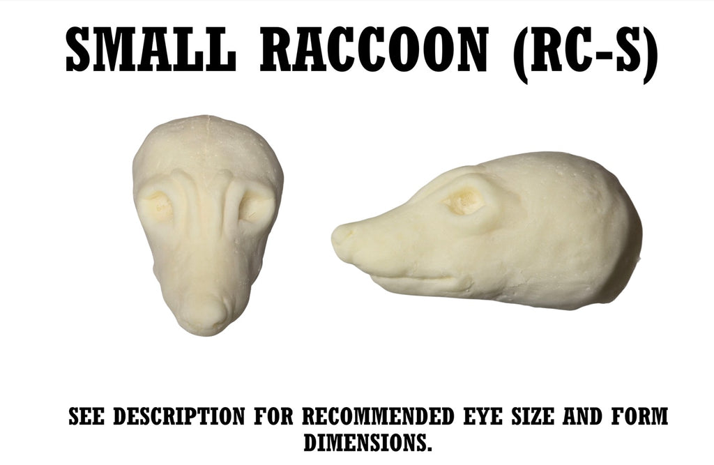 Raccoon Taxidermy Head Forms – Multiple Sizes