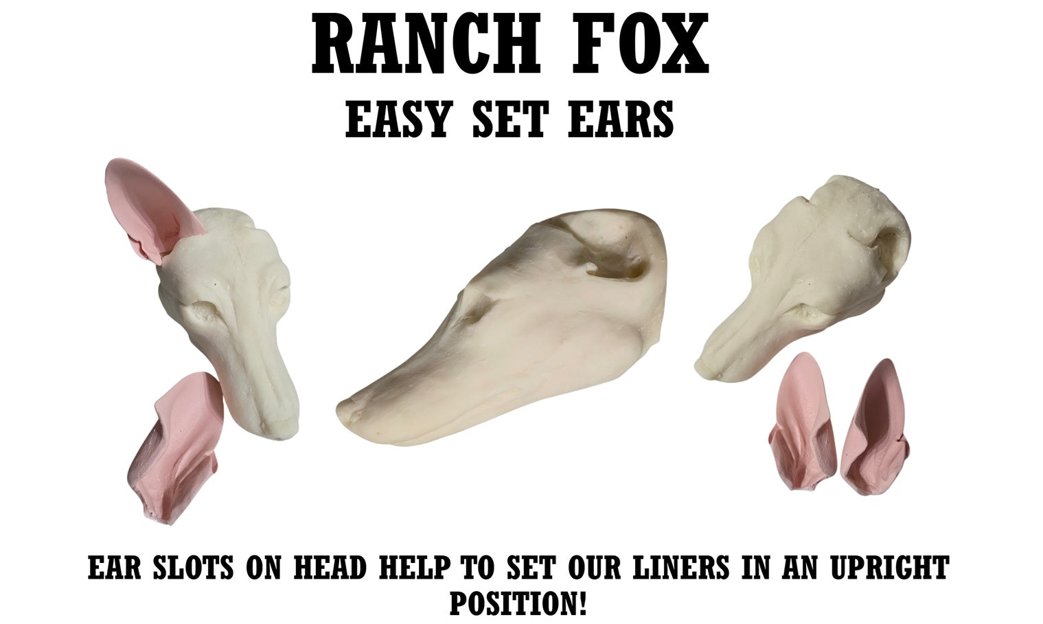 Ranch Fox Taxidermy Head Form – FX-L