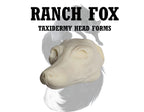 Ranch Fox Taxidermy Head Form – FX-L