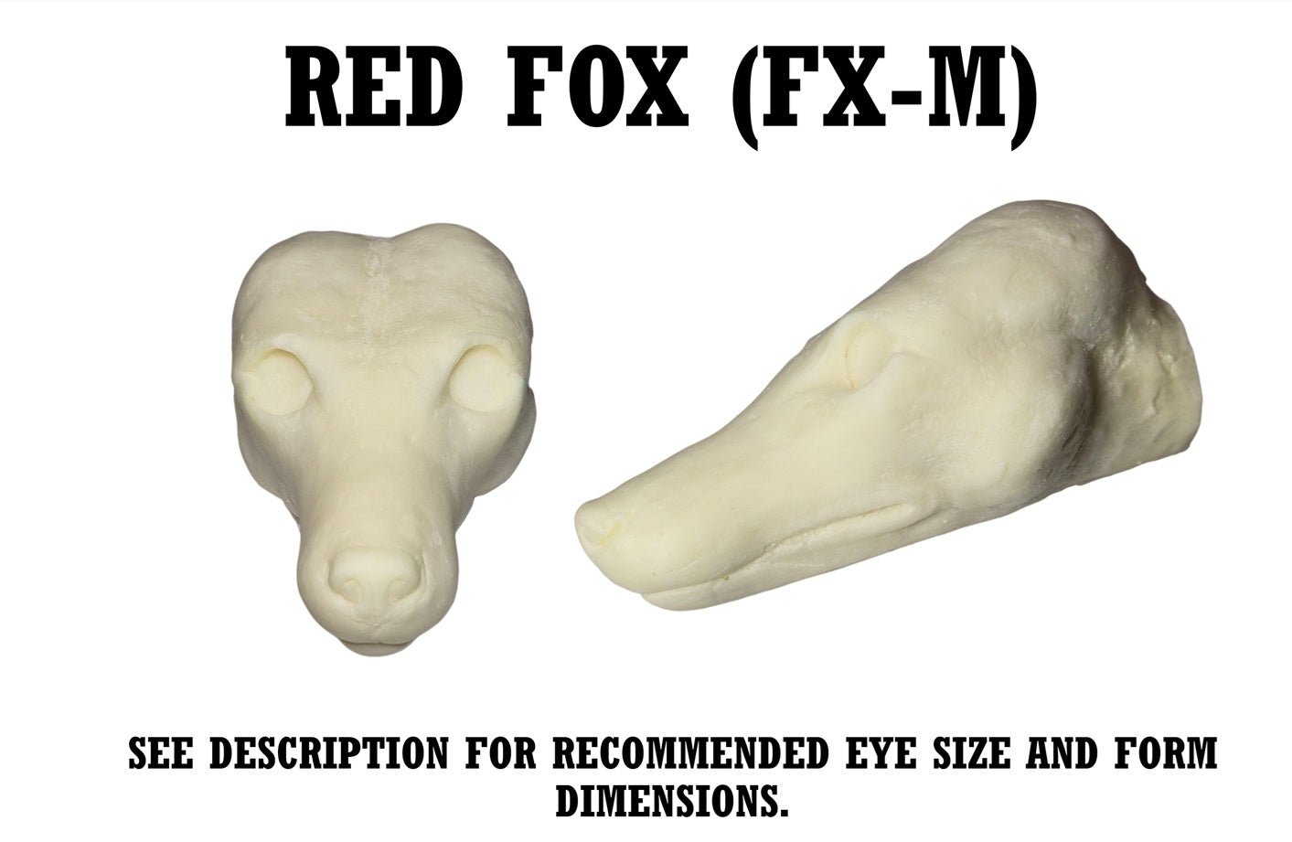 Red Fox Taxidermy Head Form – FX-M
