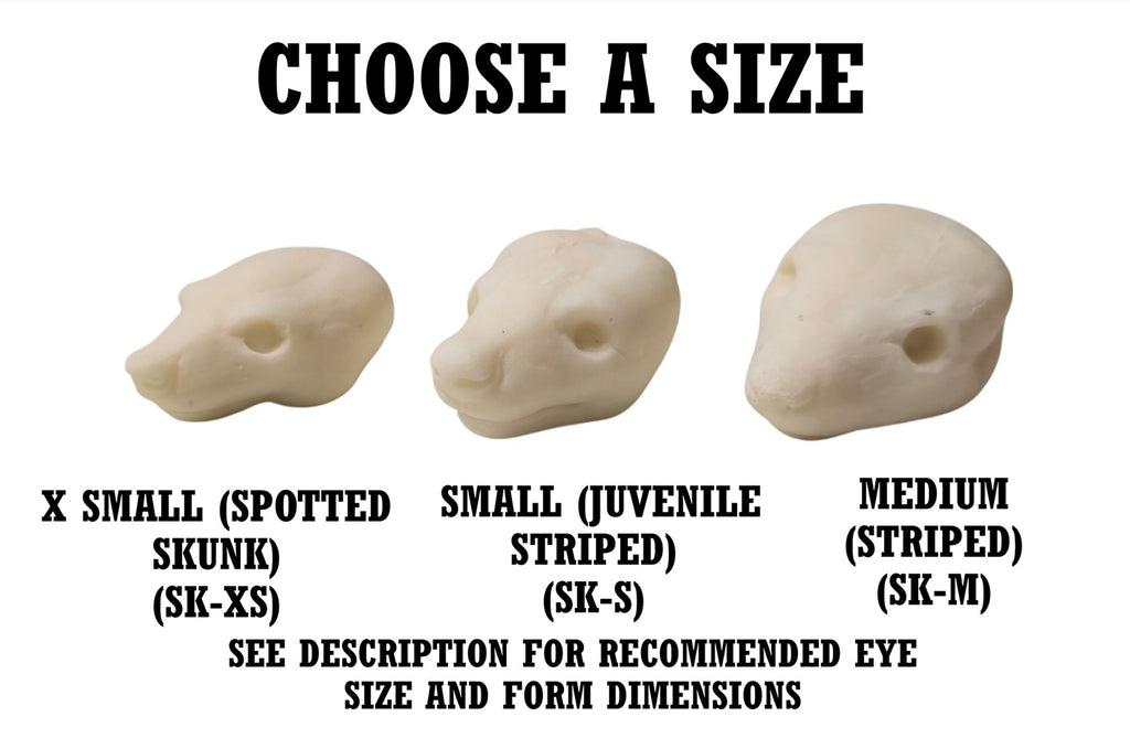 Skunk Taxidermy Head Forms – Multiple Sizes