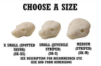 Skunk Taxidermy Head Forms – Multiple Sizes