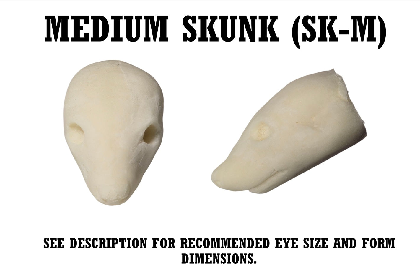 Skunk Taxidermy Head Forms – Multiple Sizes