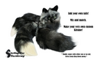 Handmade Weighted Fox Plushie, Detachable Tail, Silver Tail Buddy with Blue Eyes, Cute Kitsune Stuffed Animal, Ethically Sourced Real Fur