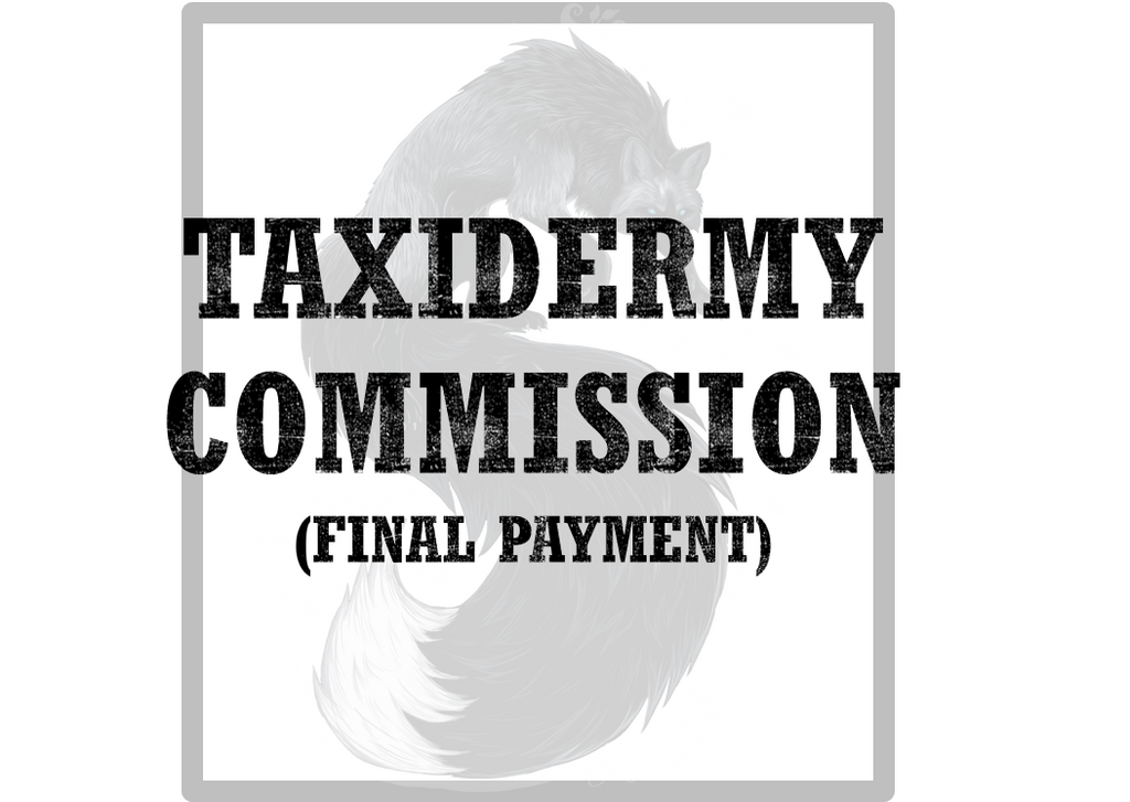 Soft Mount Commission Final Payment Brittany C.